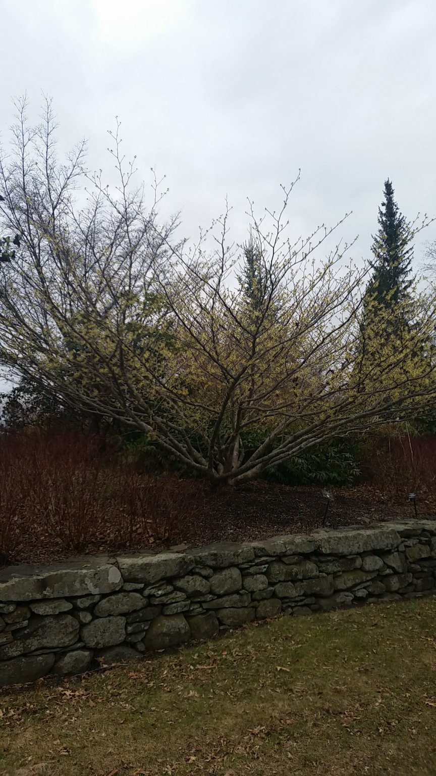 IMG_20180304_154805.jpg