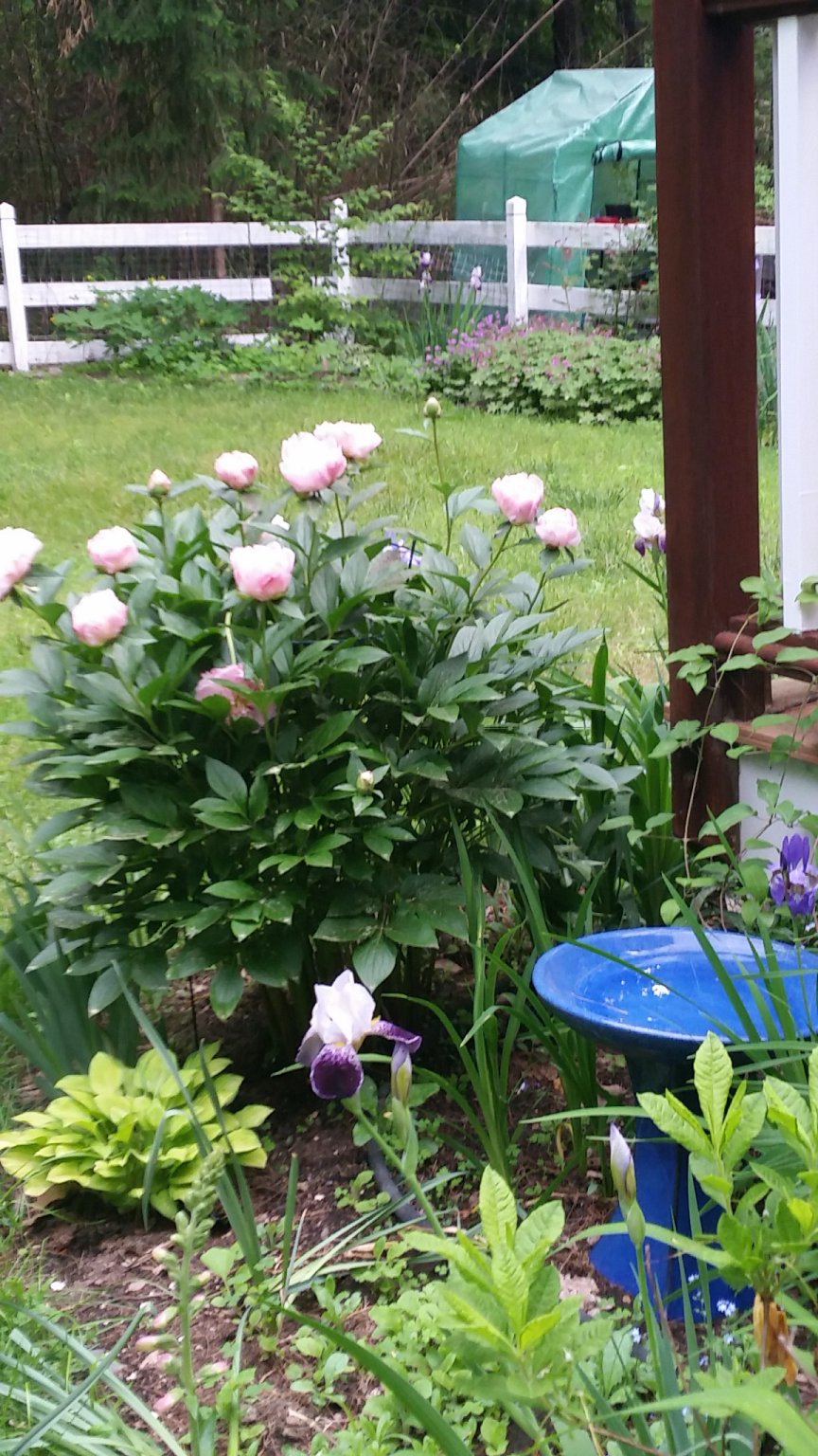 IMG_20180607_180836.jpg
