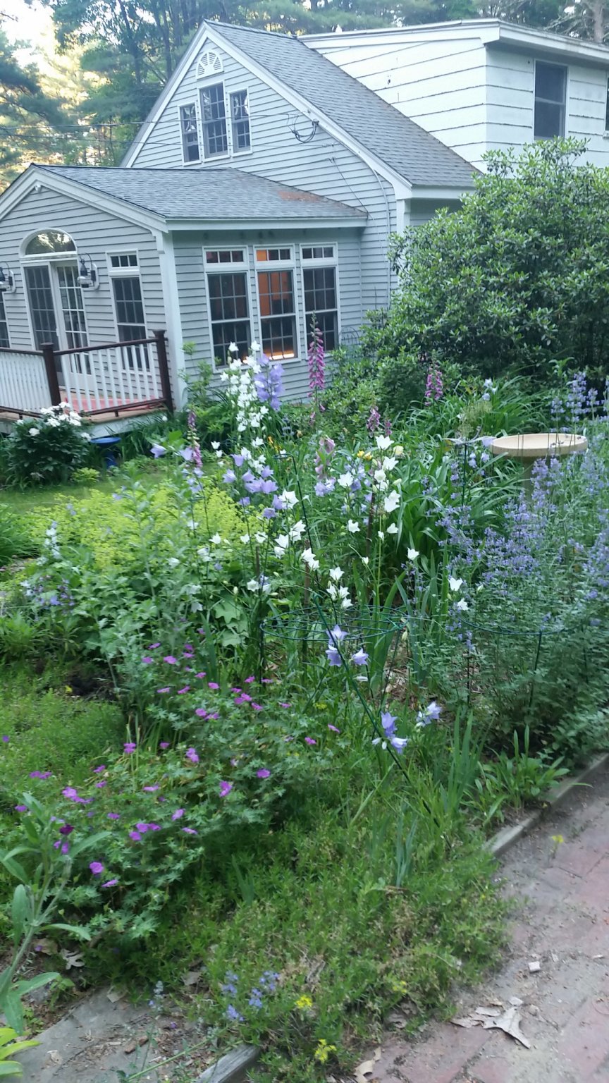 IMG_20180616_193414.jpg