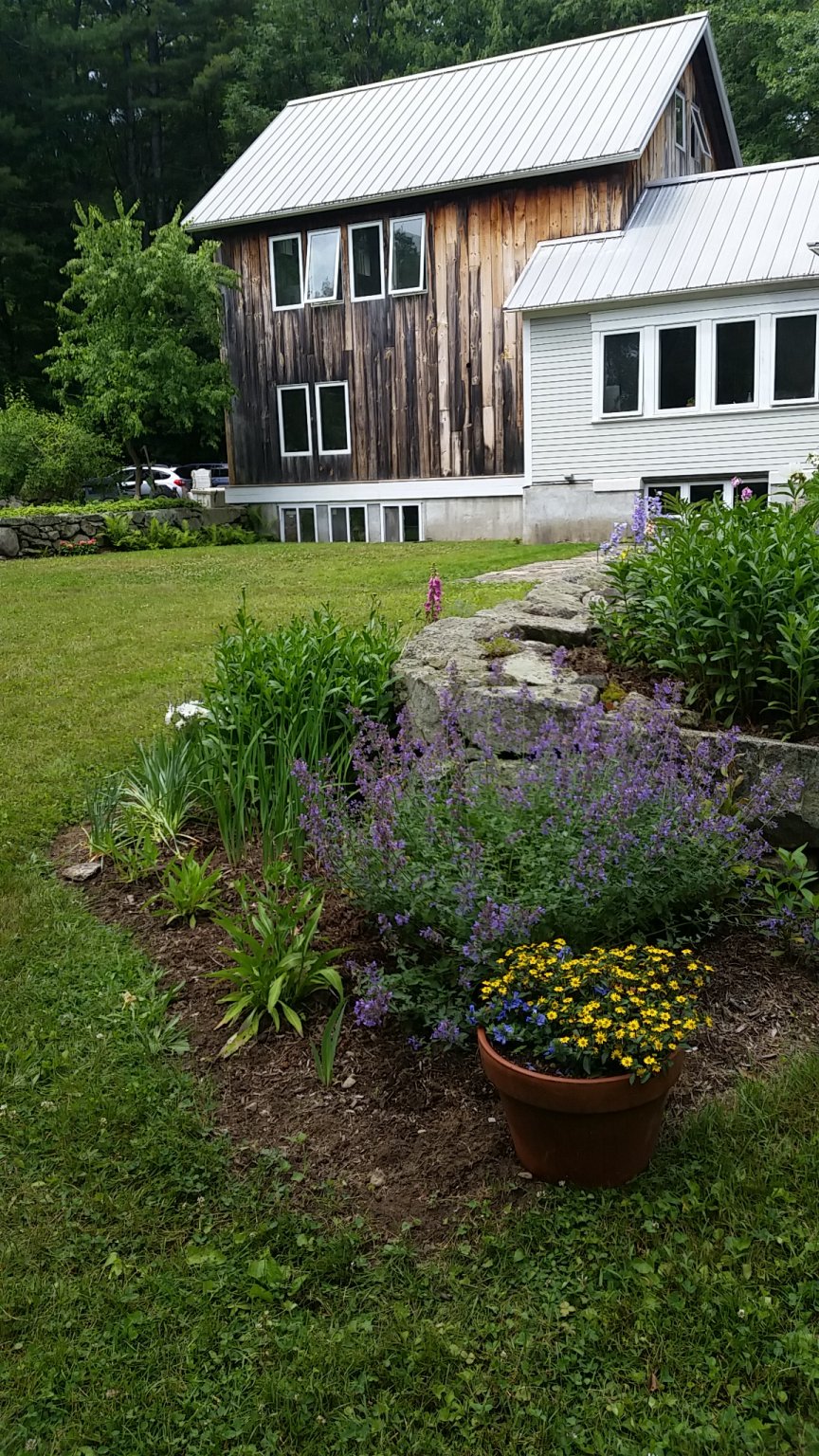IMG_20180624_105452.jpg