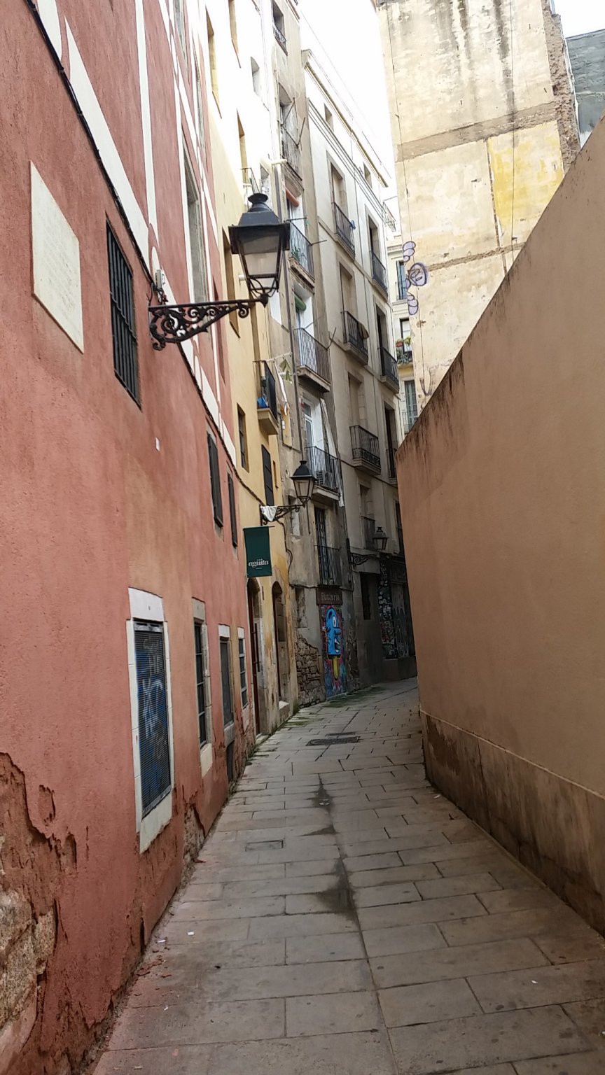 IMG_20181012_094649.jpg