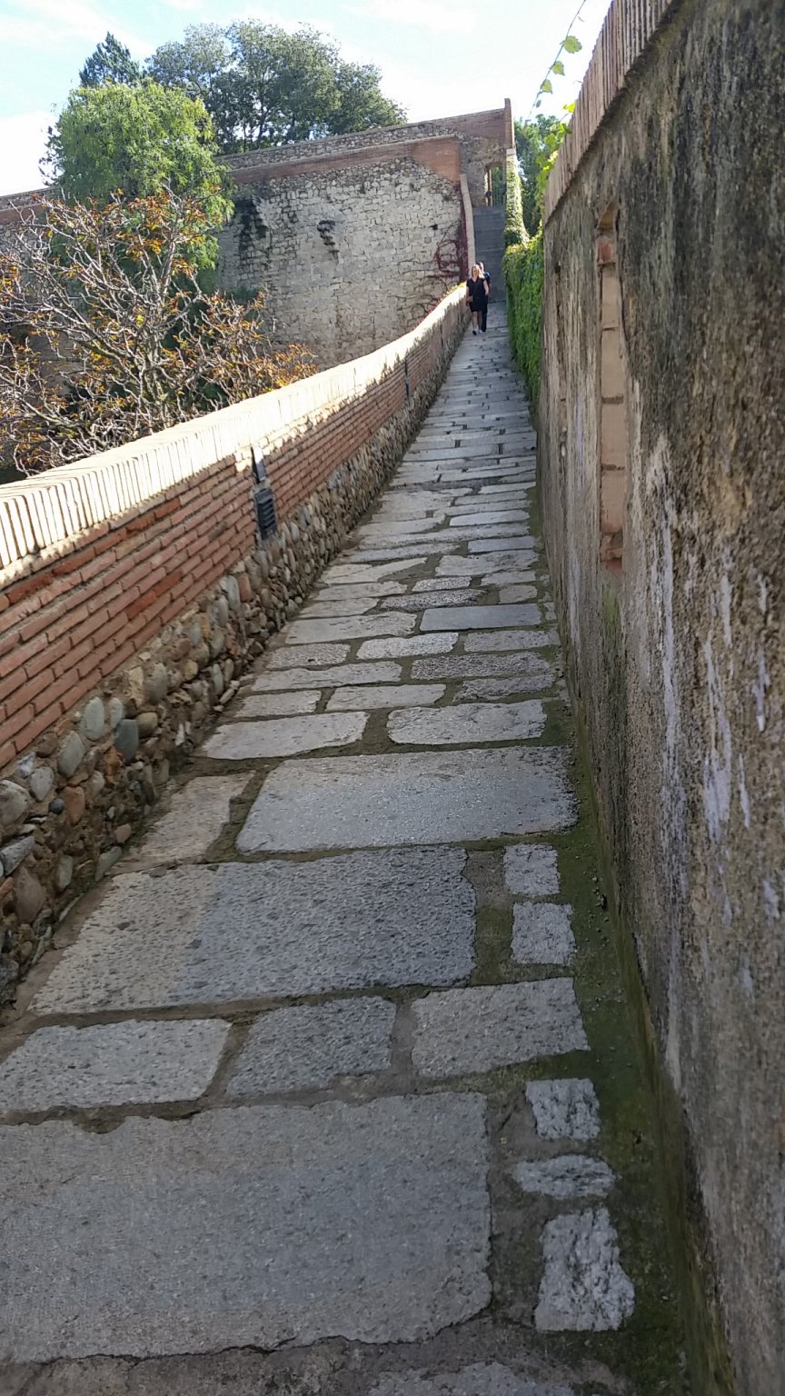 IMG_20181016_113219.jpg