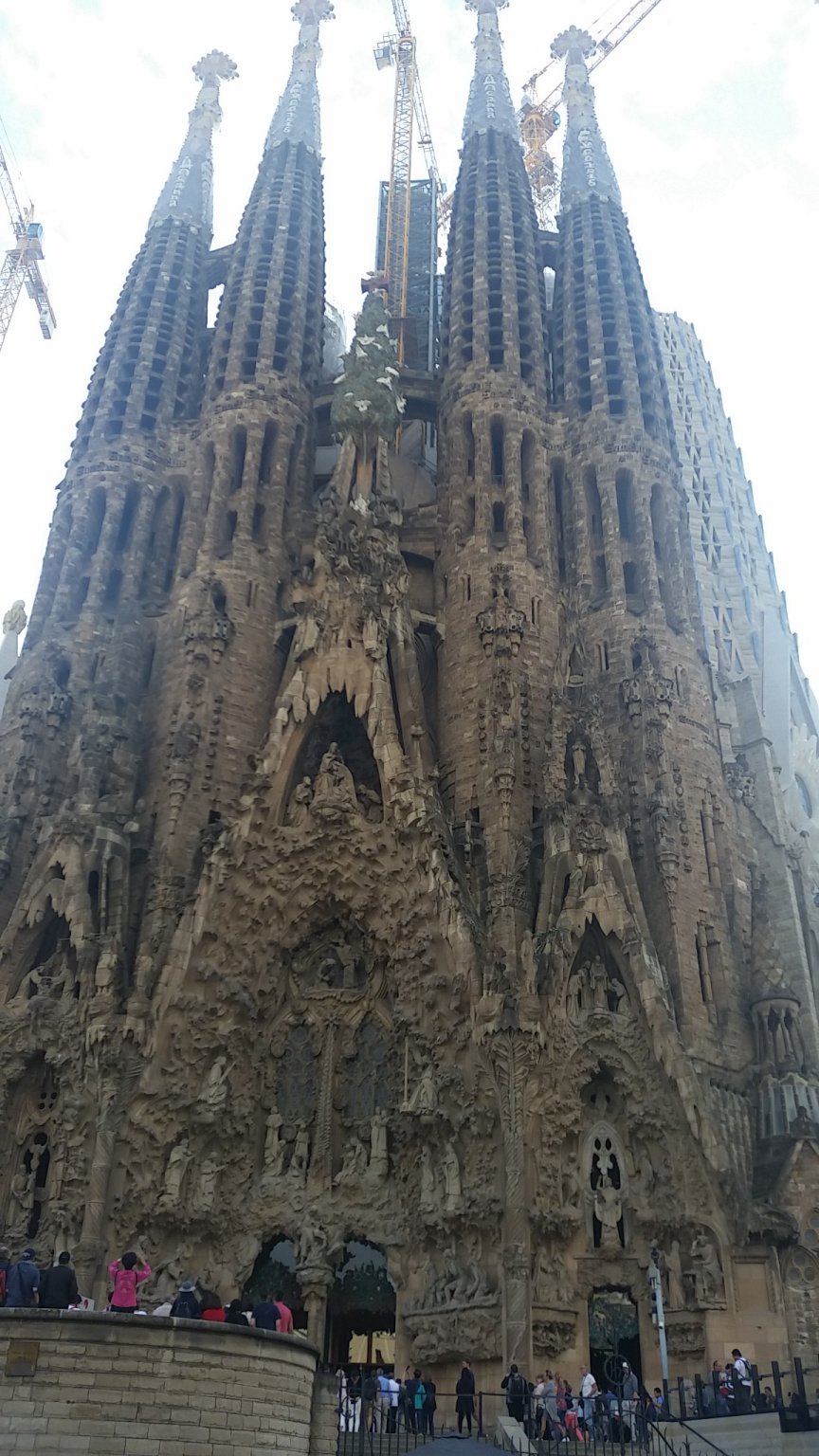 IMG_20181017_160528.jpg