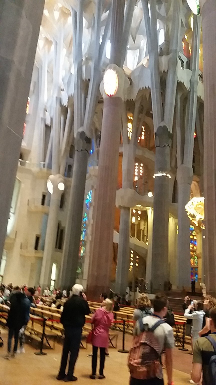 IMG_20181017_173249.jpg