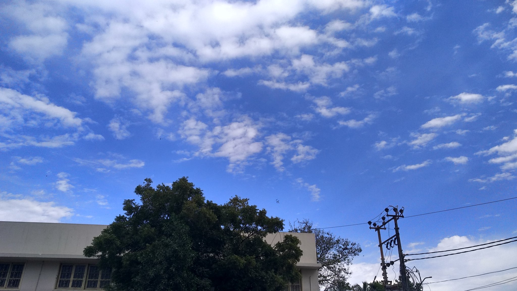 IMG_20190217_161732.jpg