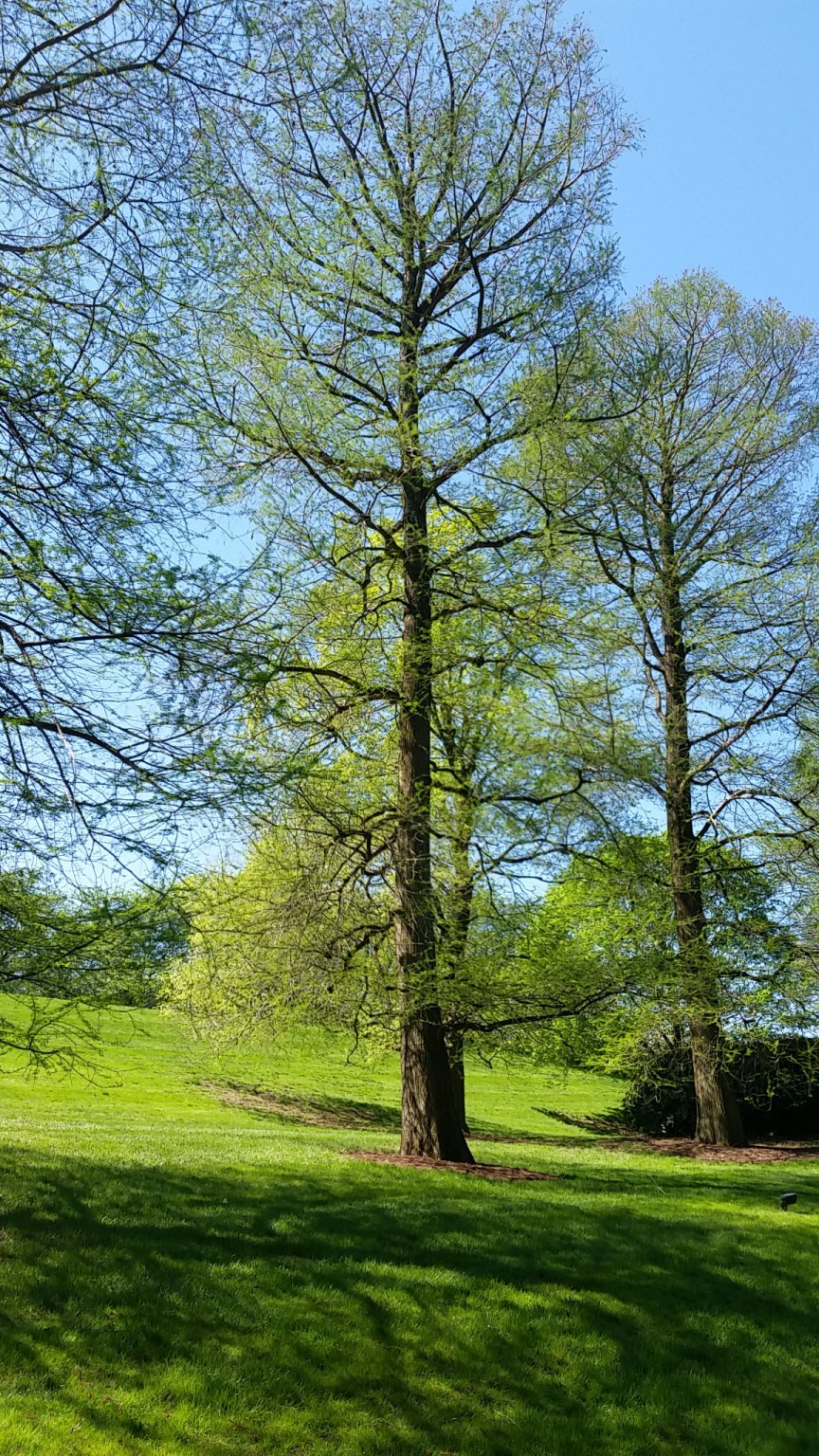 IMG_20190427_110734.jpg