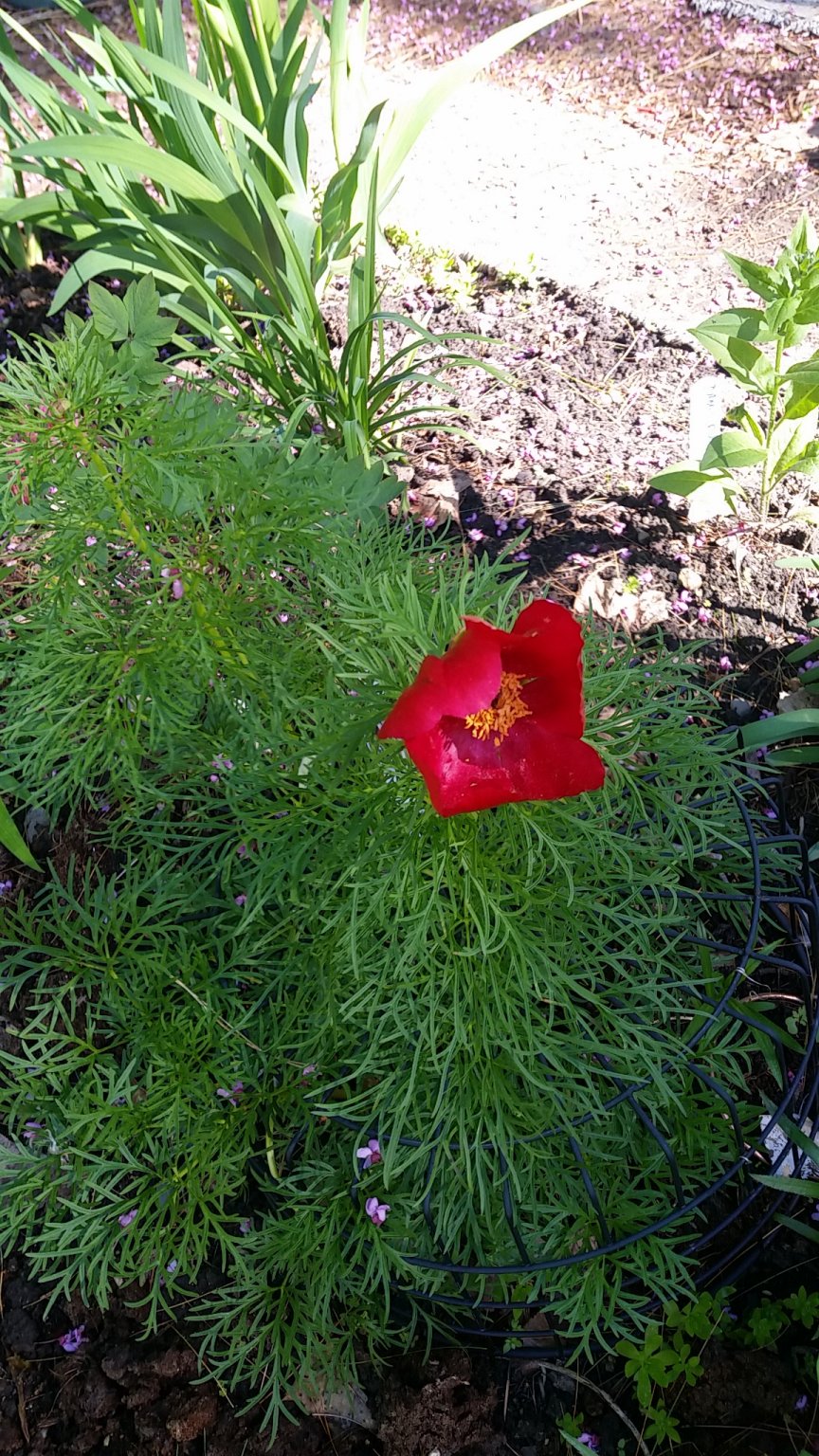 IMG_20190521_085416.jpg