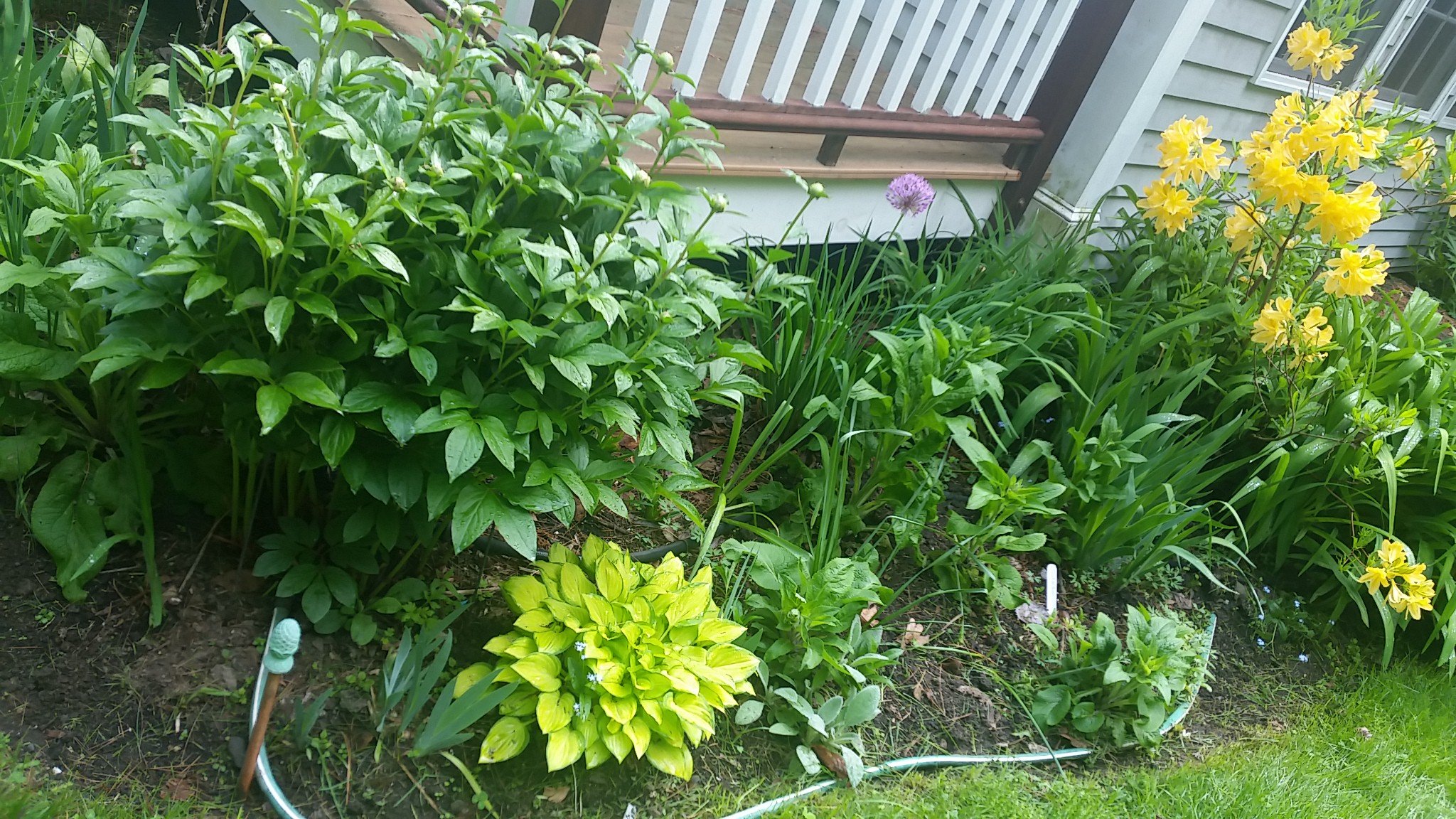 IMG_20190531_092814.jpg