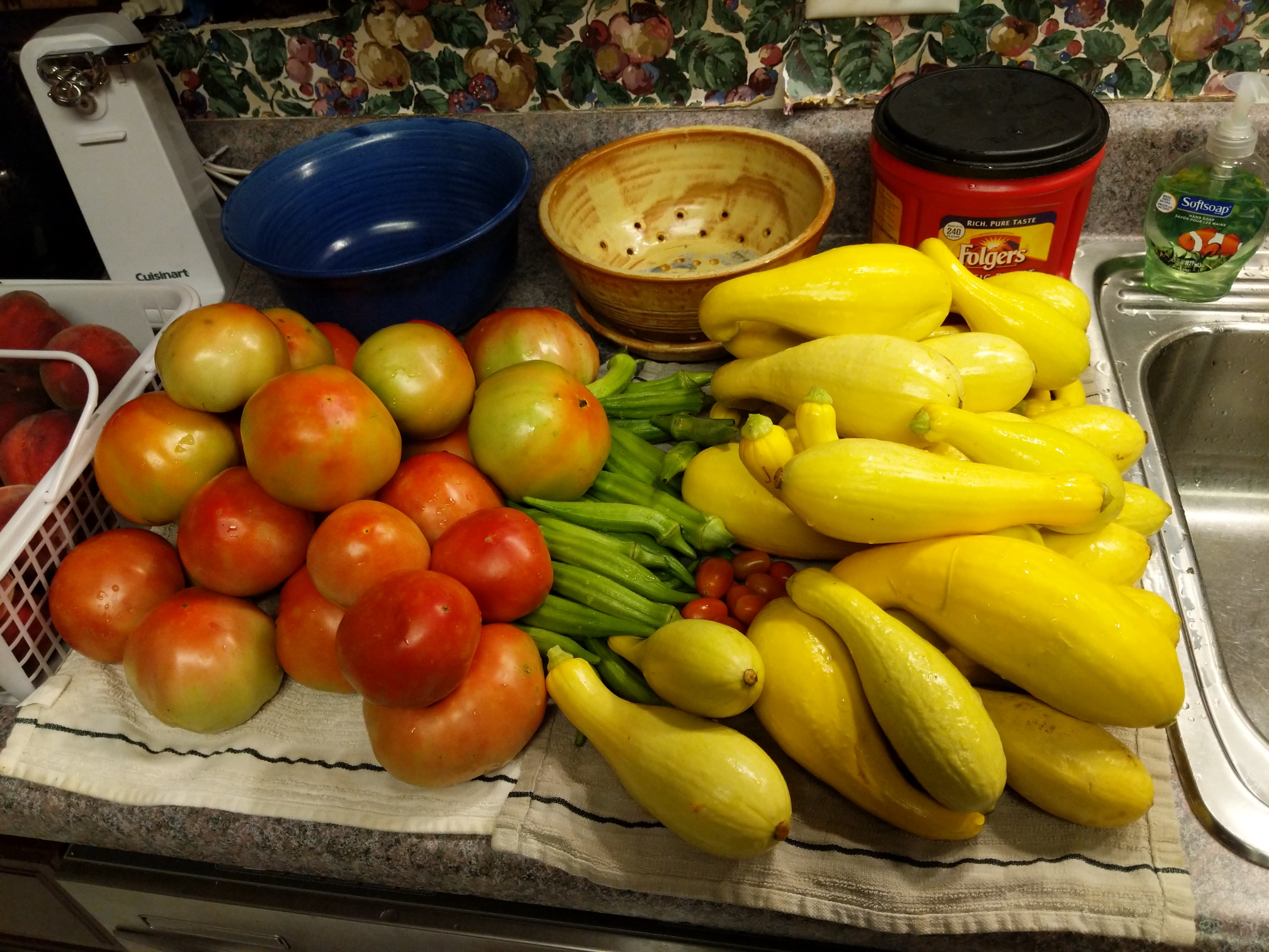 IMG_20190703_095828_resize_33.jpg