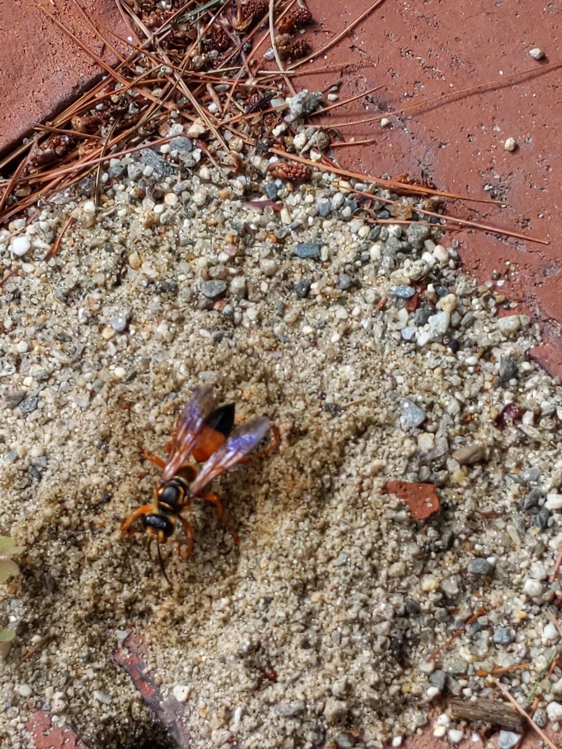 IMG_20190808_101058.jpg