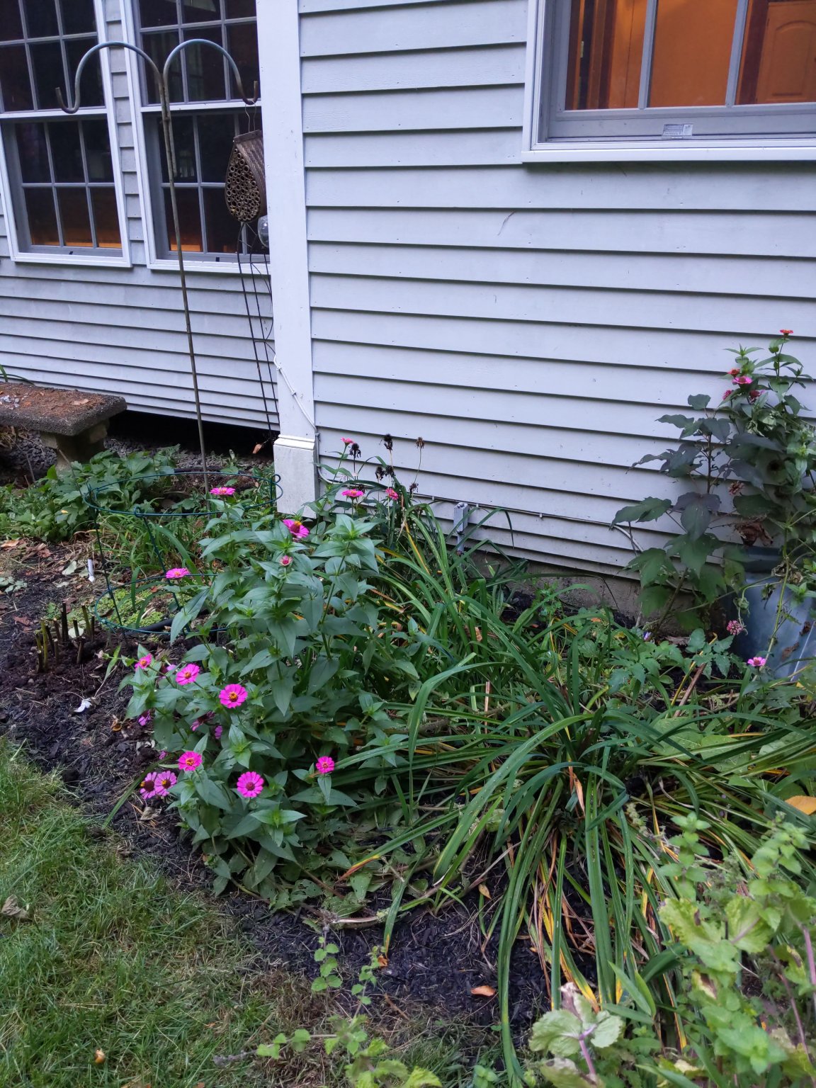 IMG_20190929_173328.jpg