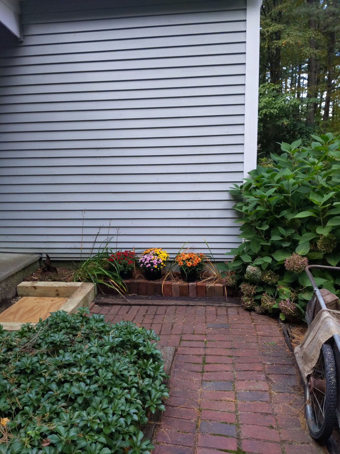 IMG_20191009_074448.jpg