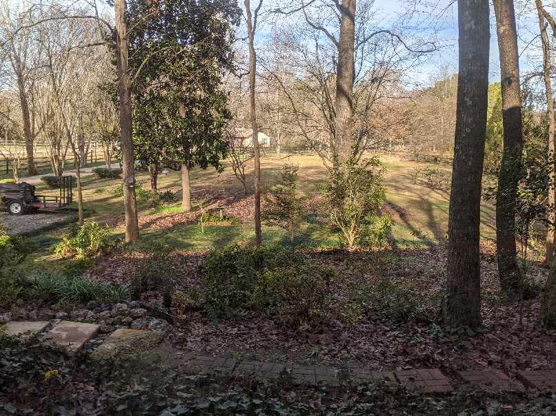 IMG_20191225_102016_resize_22.jpg