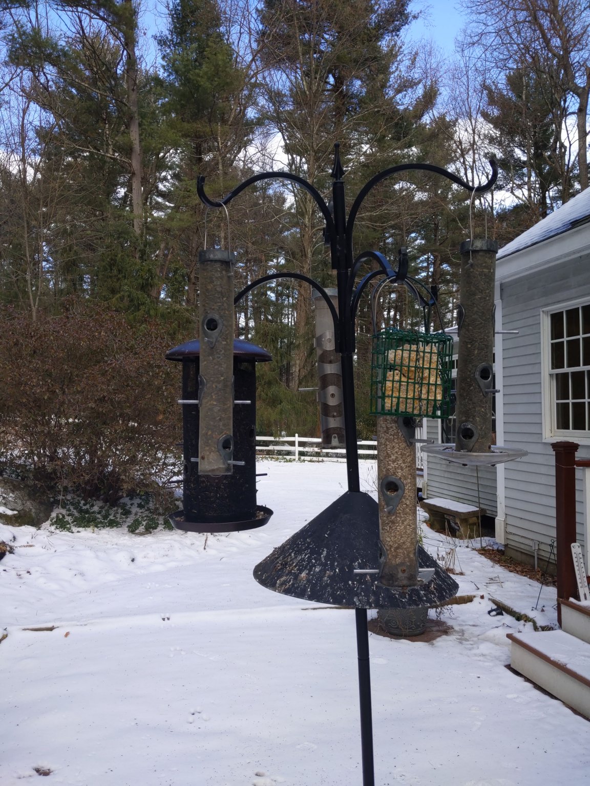 IMG_20200216_102040.jpg