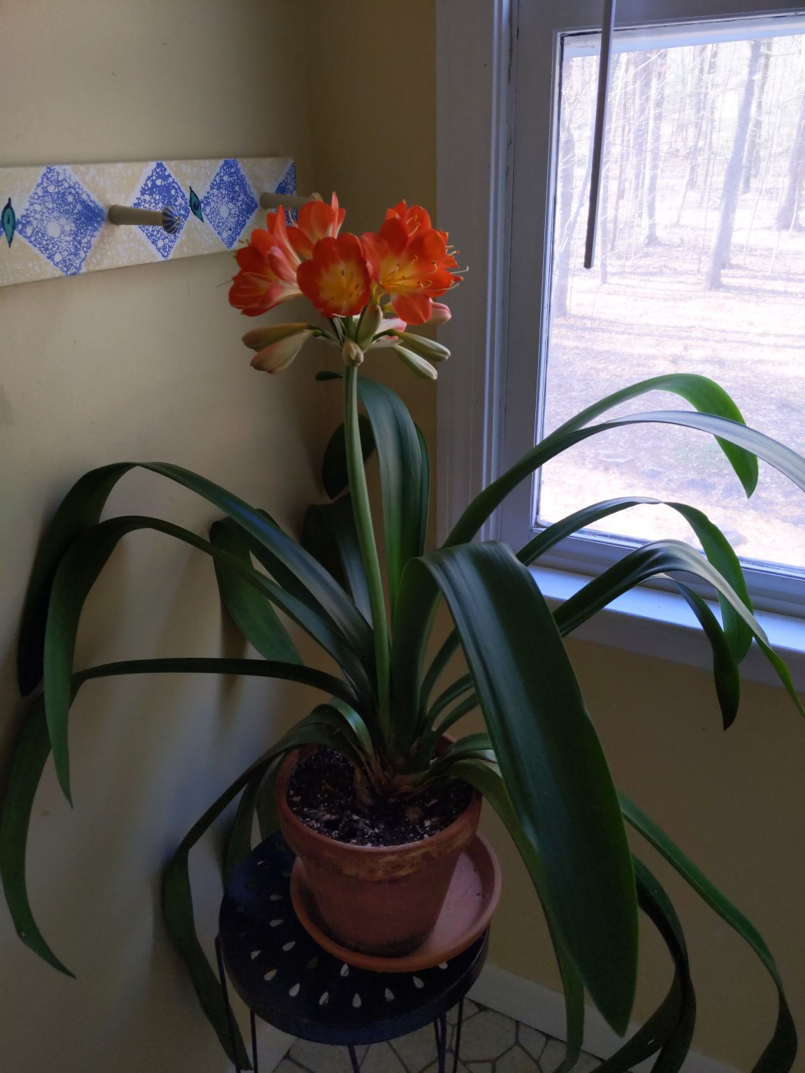 IMG_20200307_091022.jpg