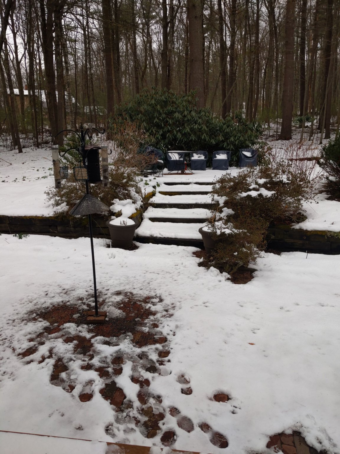 IMG_20200325_112858.jpg
