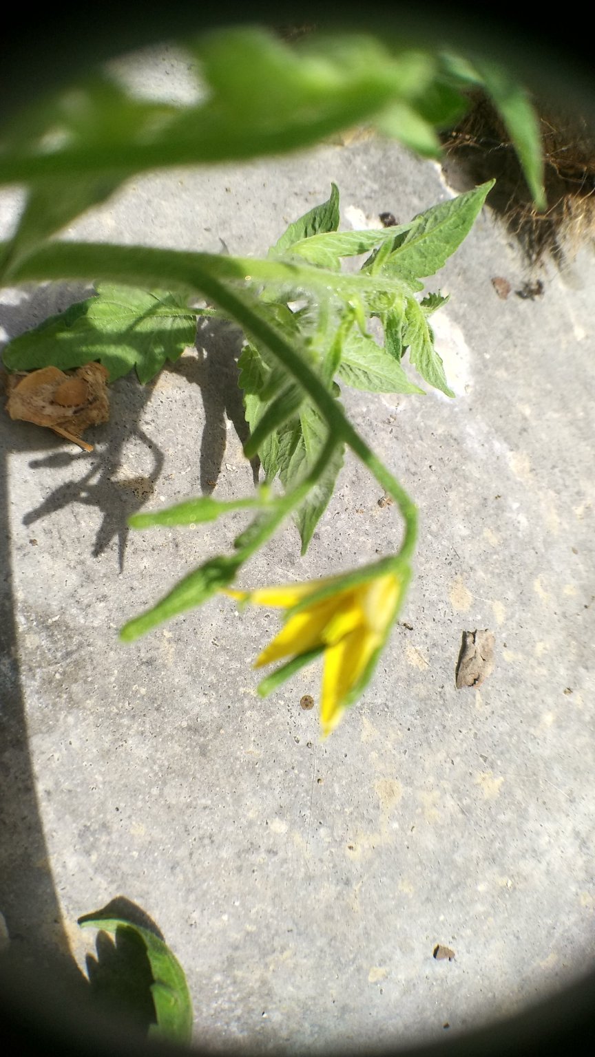 IMG_20200407_102205.jpg