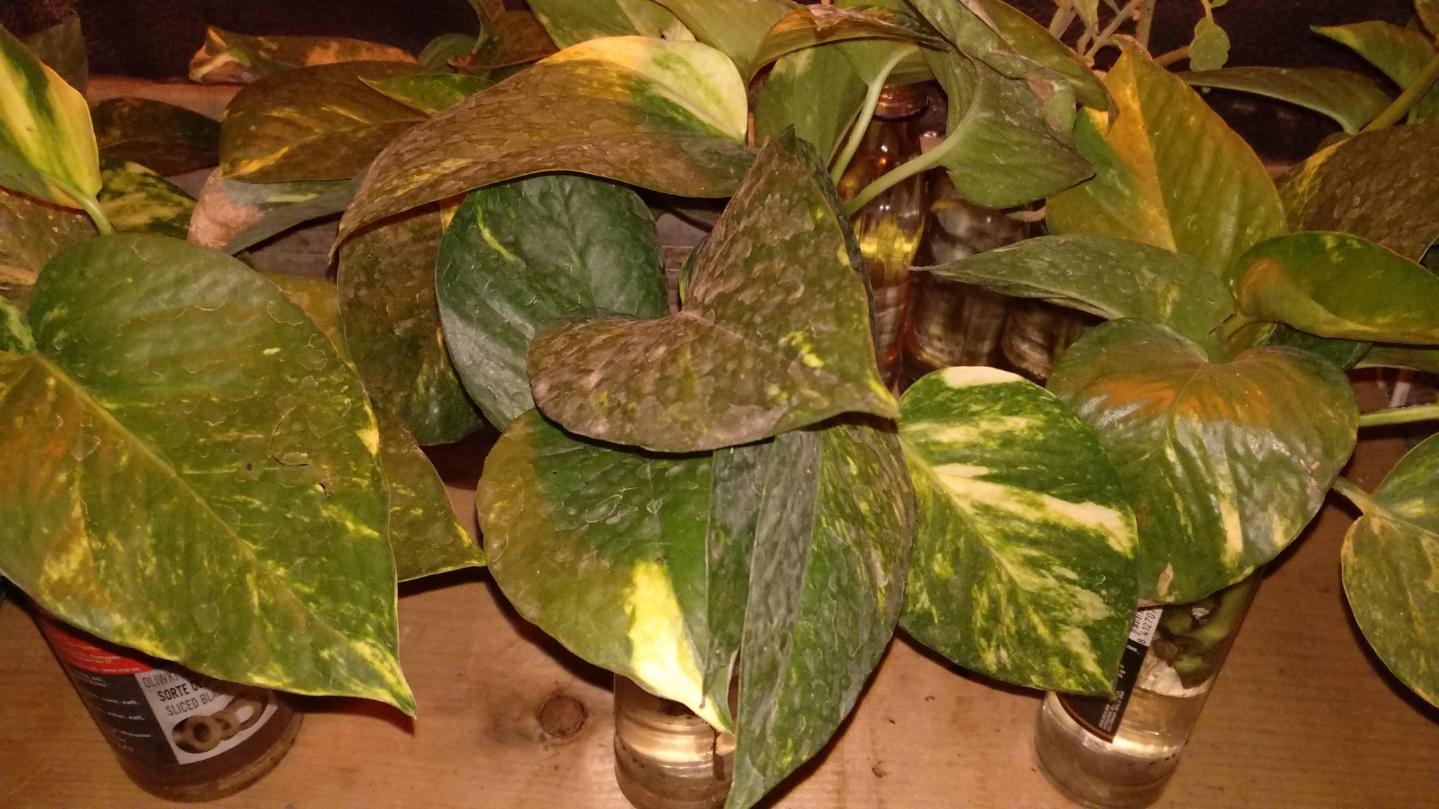 propagating