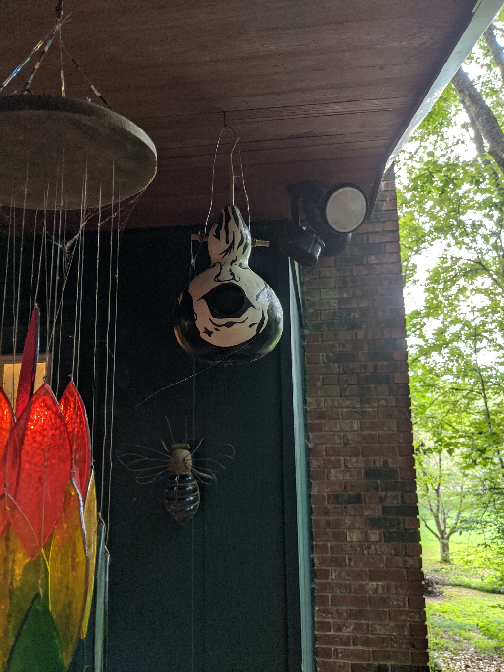 IMG_20200725_181656_resize_6.jpg