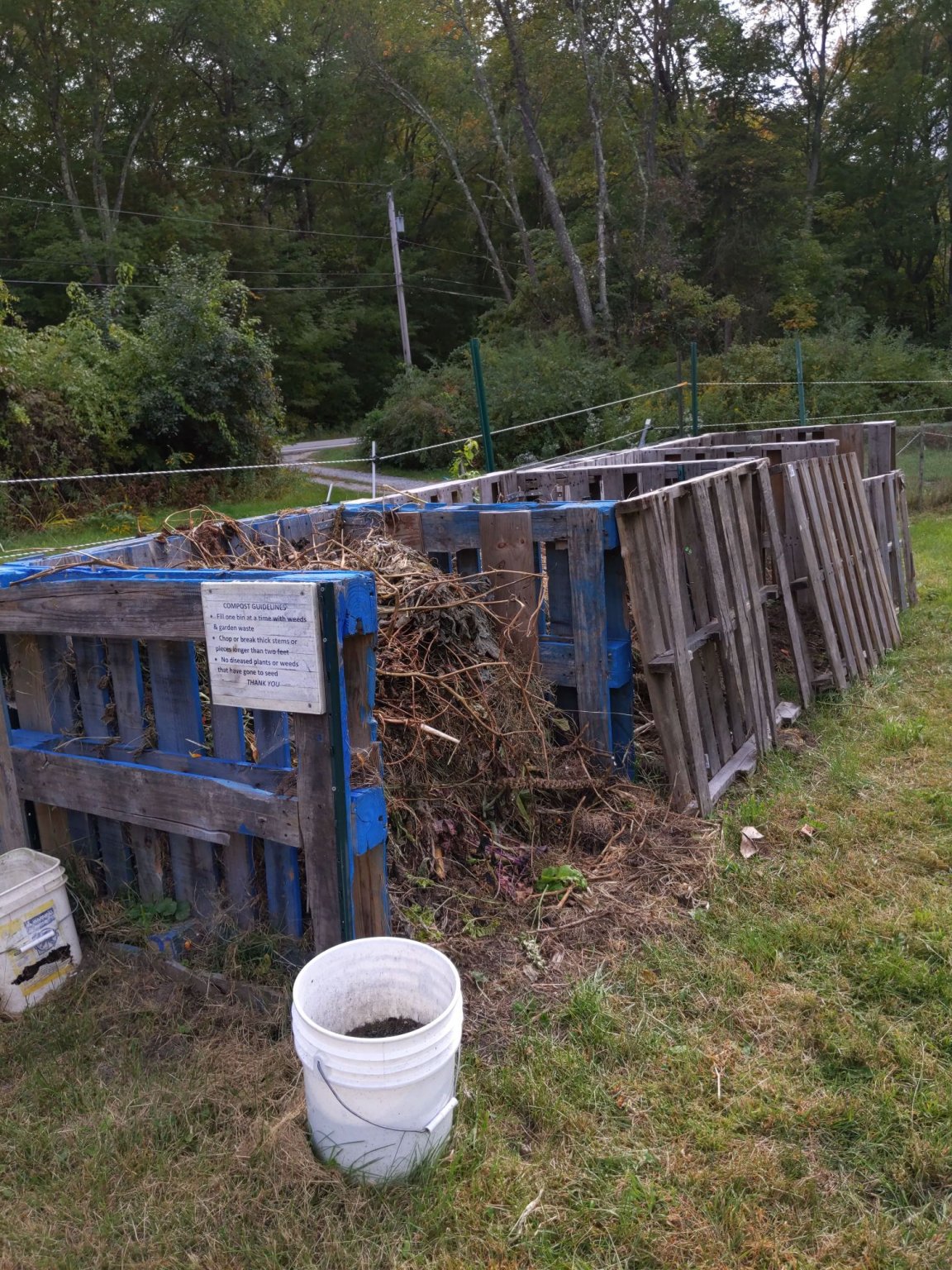 IMG_20200924_150900_compress67.jpg