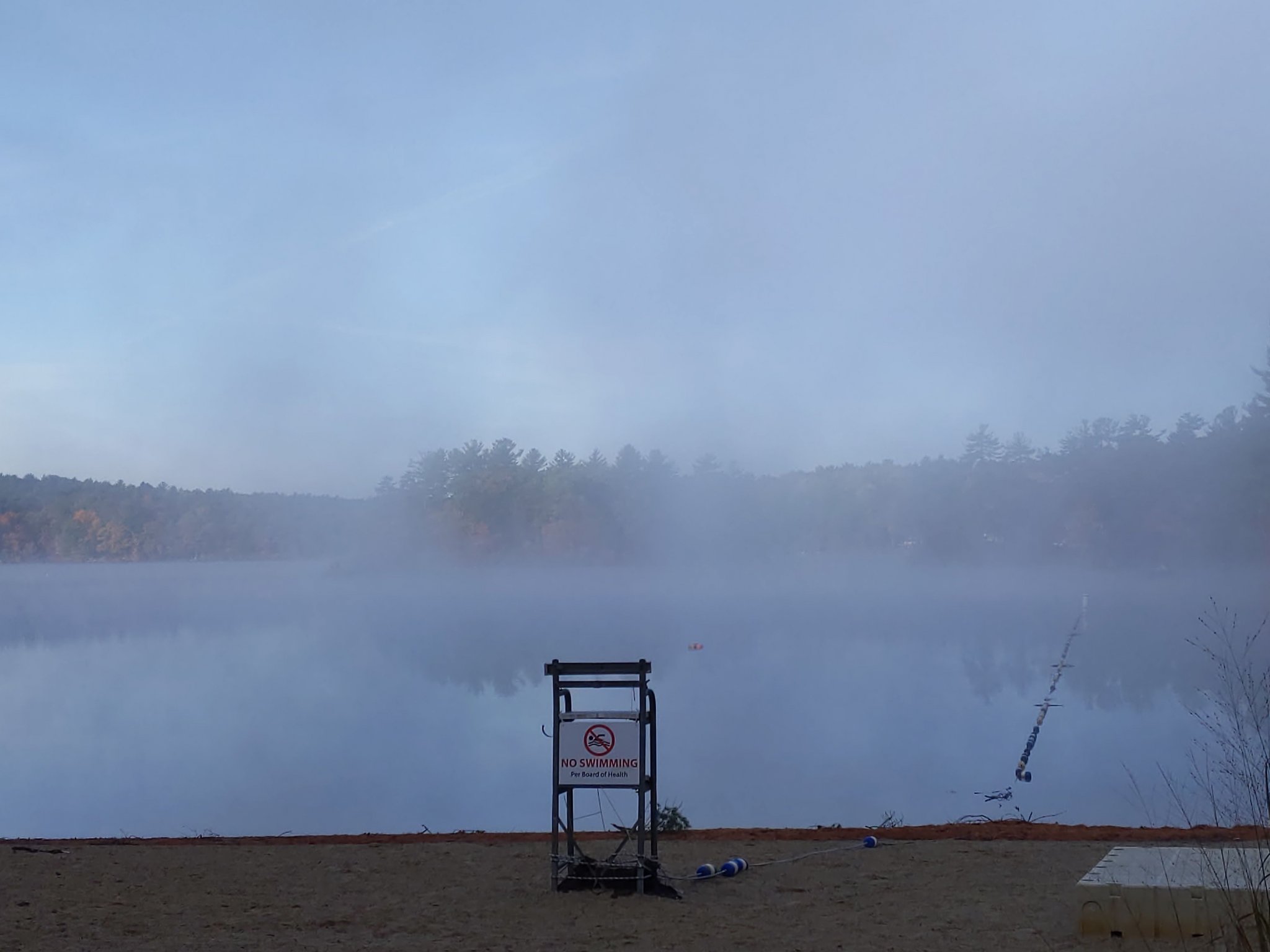IMG_20201018_082641.jpg