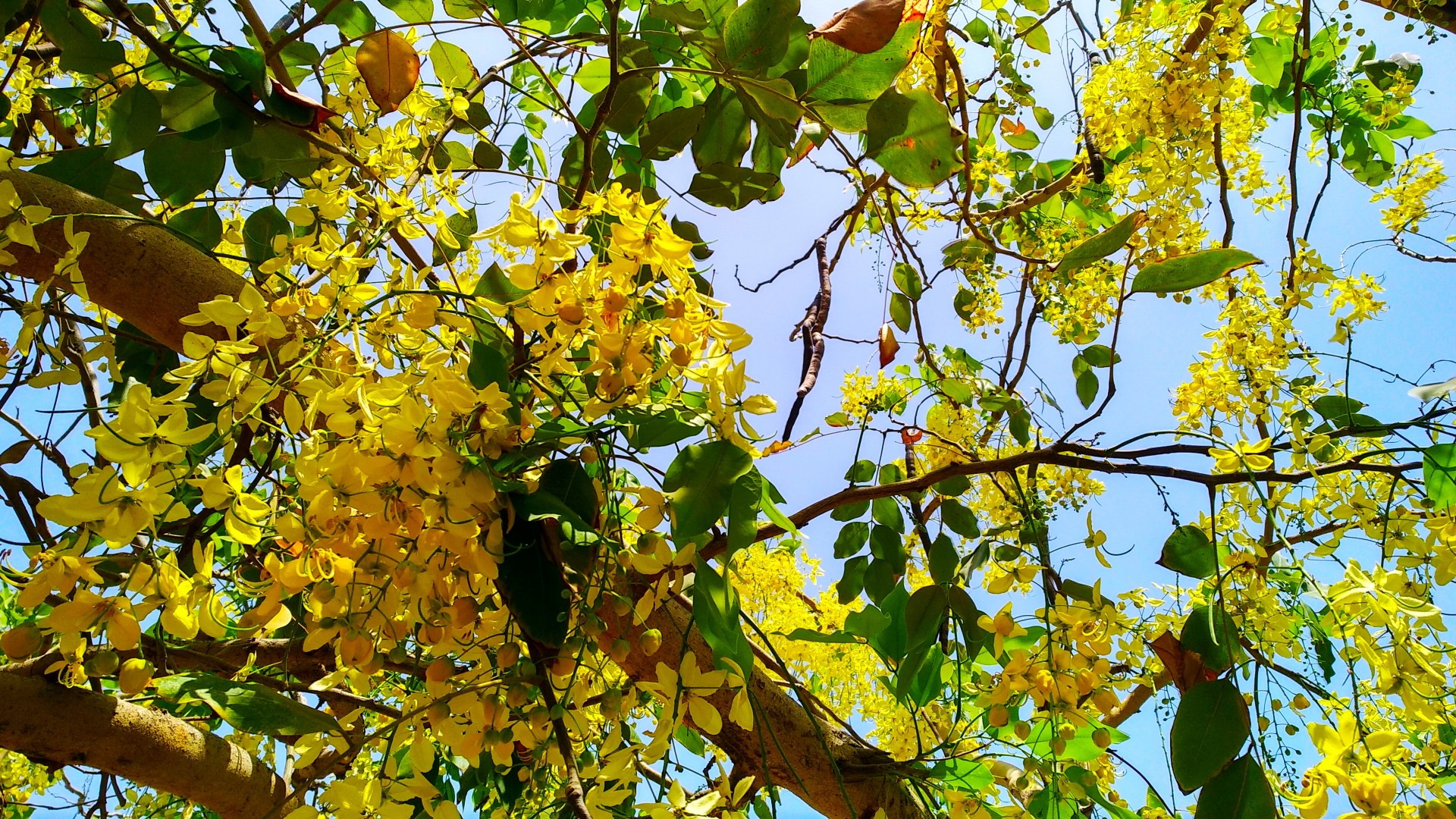 IMG_20210515_194430_copy_1920x1080.jpg