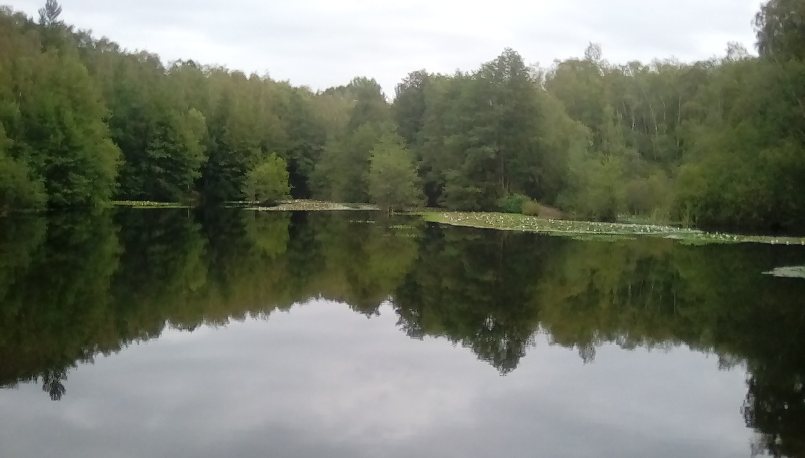 IMG_20210911_102624.jpg
