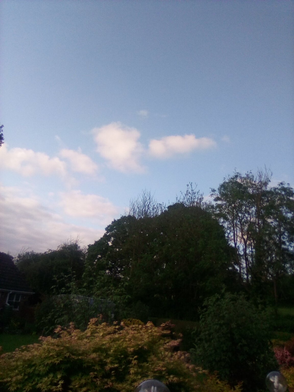IMG_20240523_190248.jpg