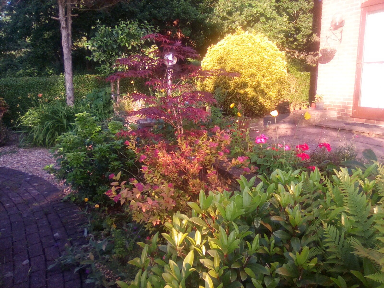 IMG_20240602_195330.jpg