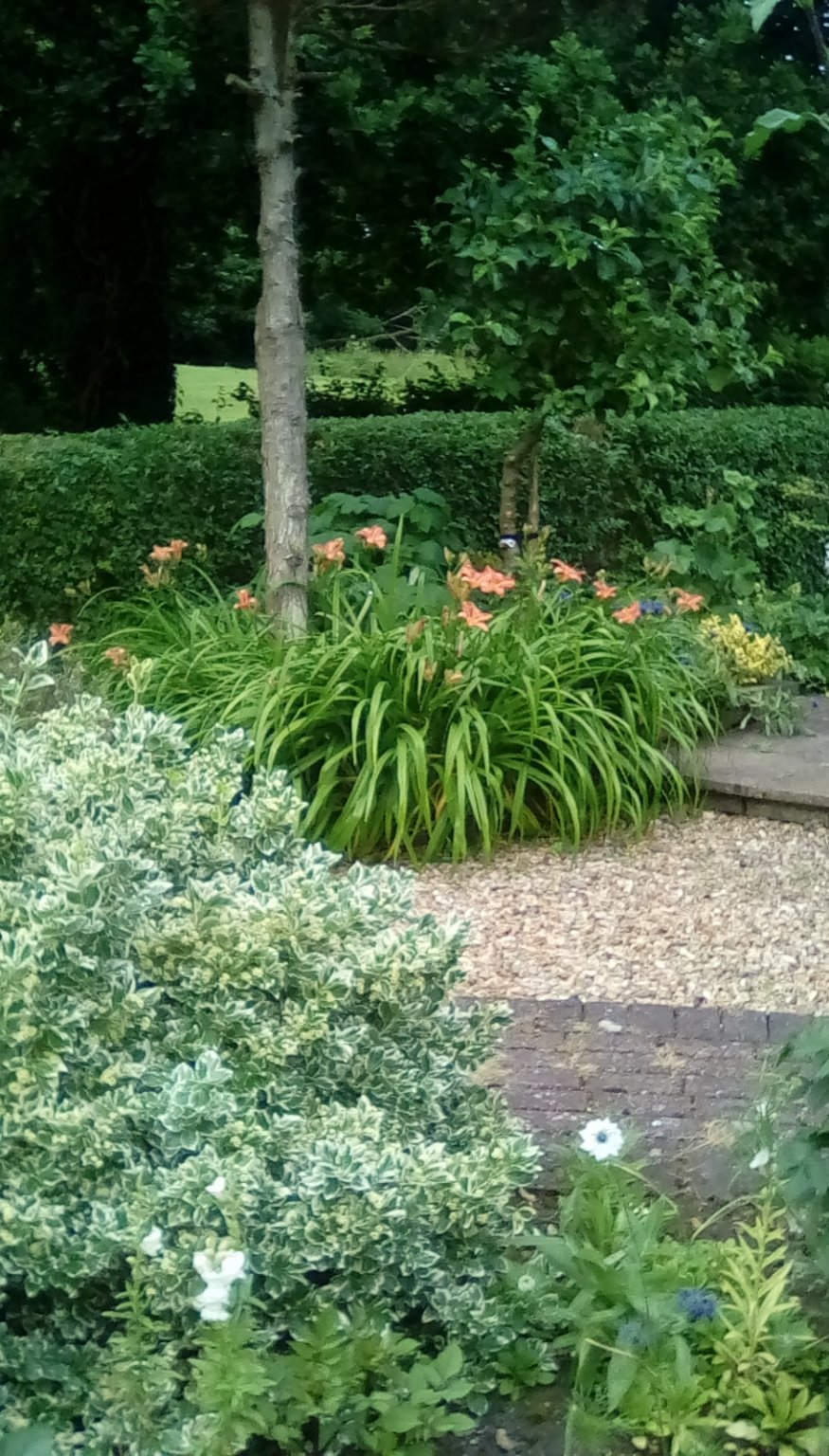IMG_20240610_190341.jpg