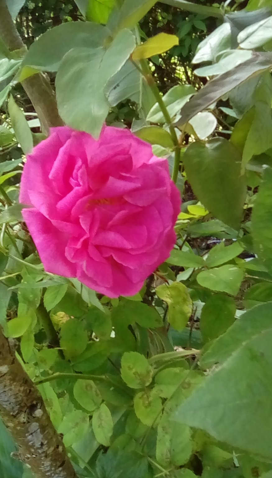 IMG_20240622_141018.jpg