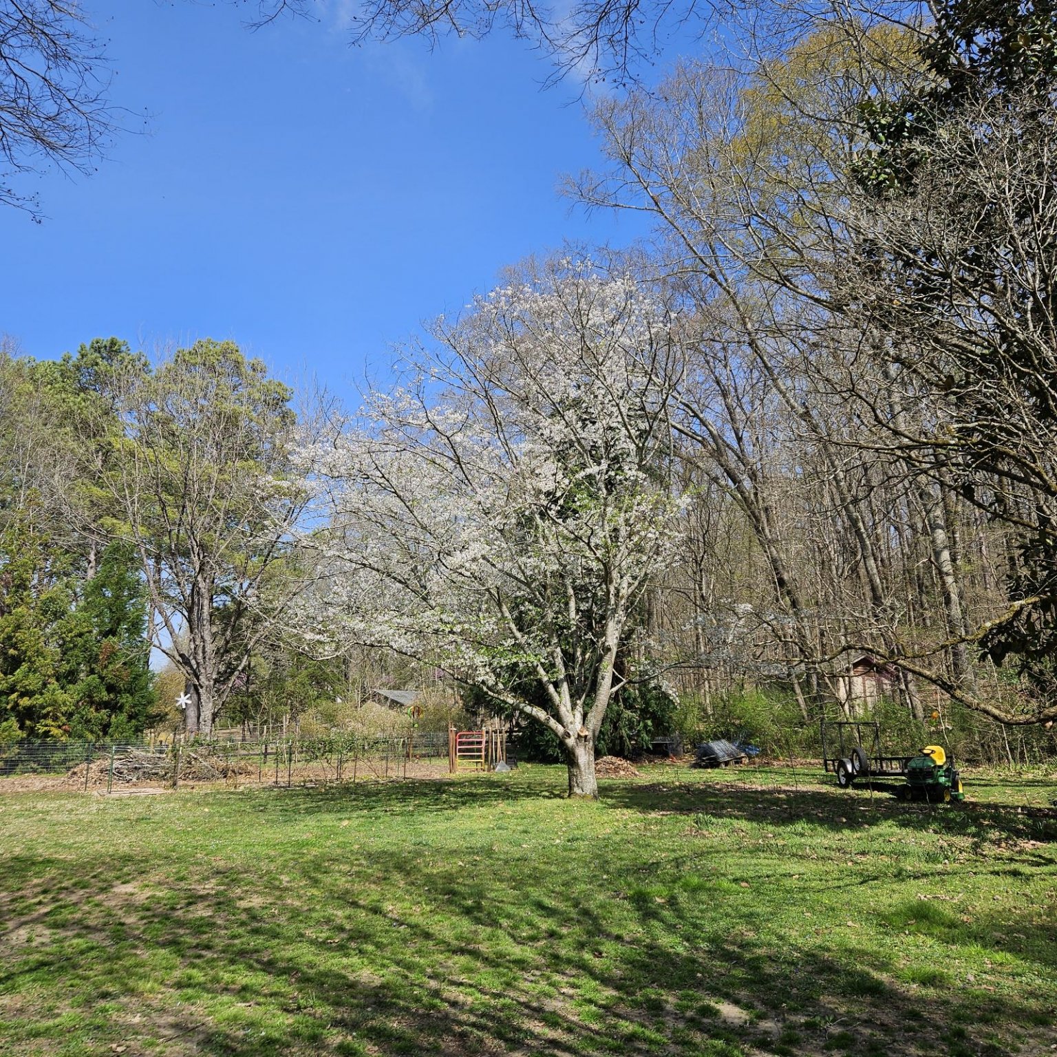 IMG_20250324_092756.jpg