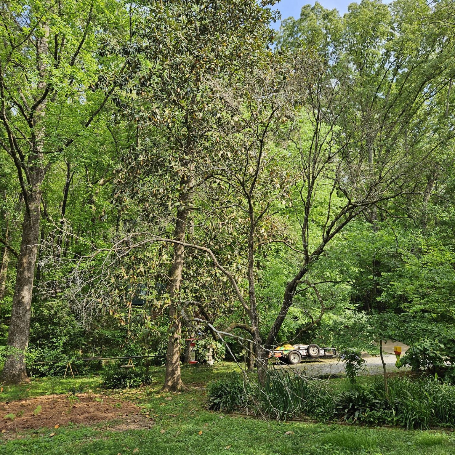 IMG_20250421_160514.jpg