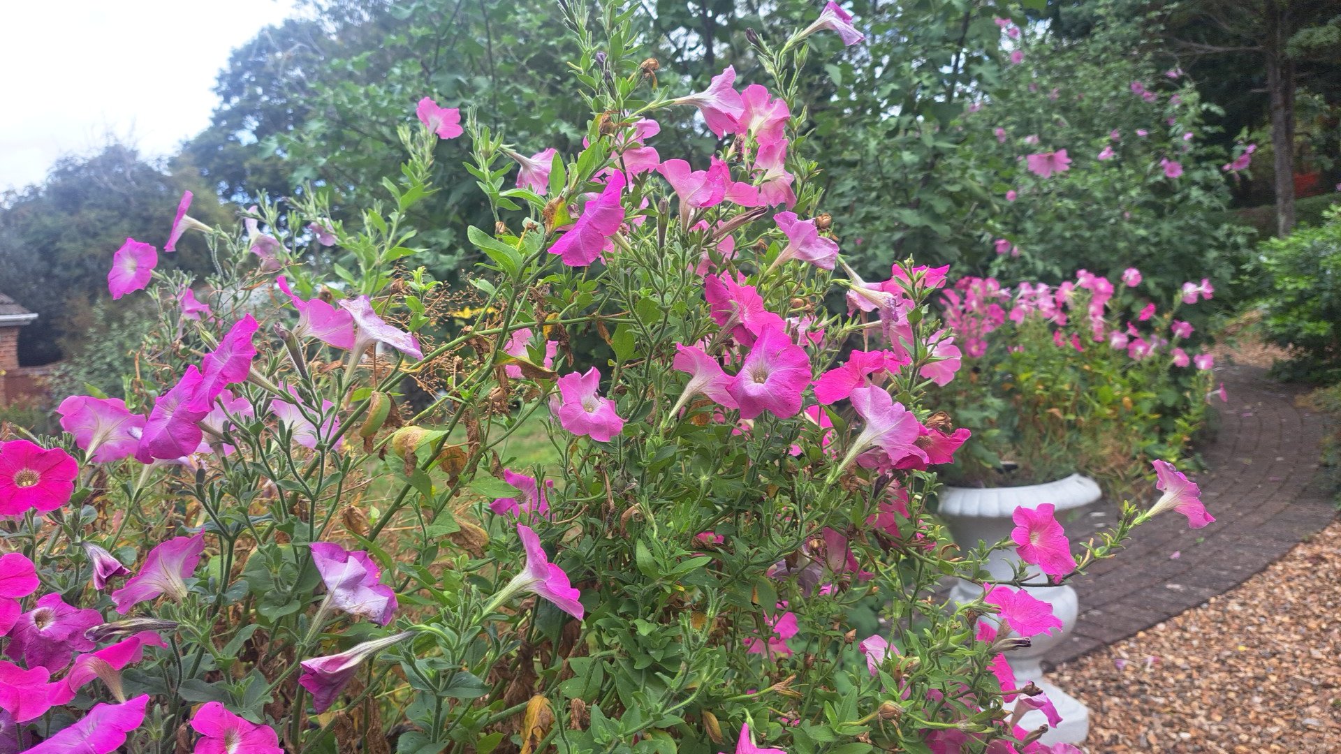 IMG_20250831_105743.jpg
