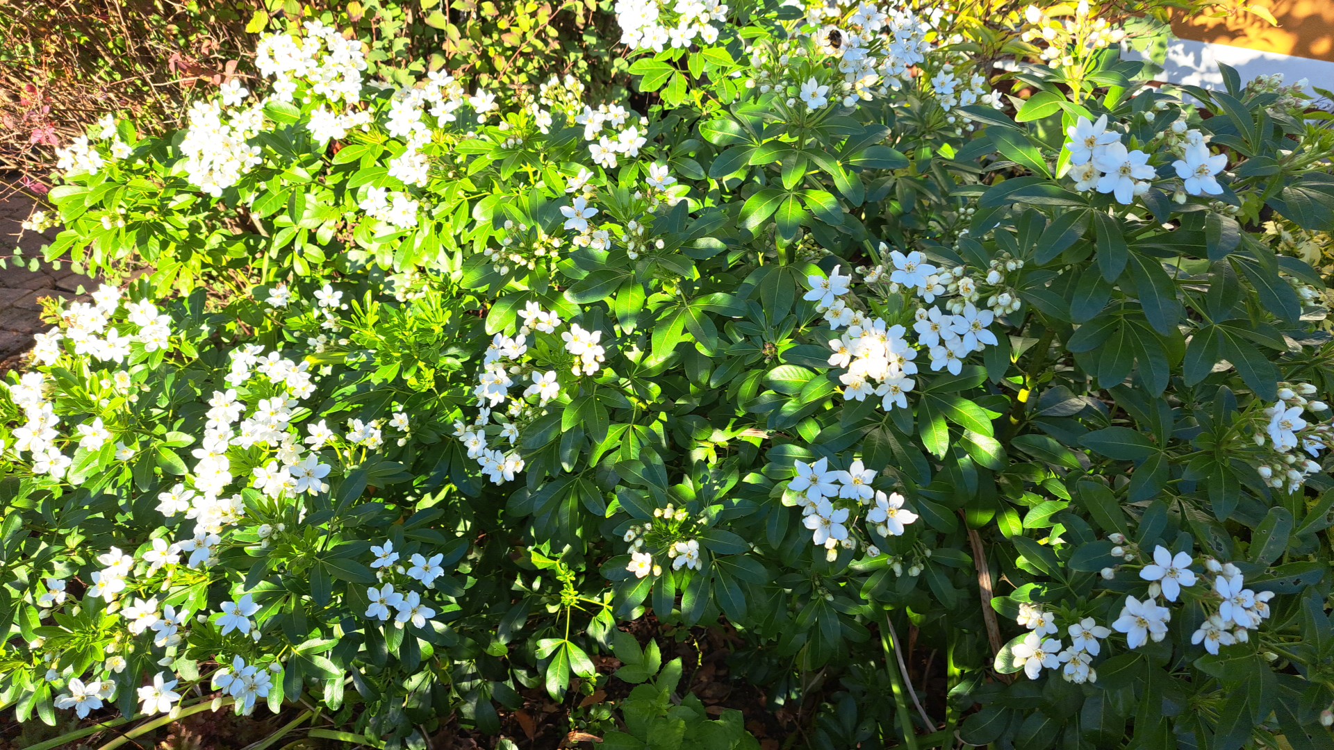 IMG_20250930_164456.jpg