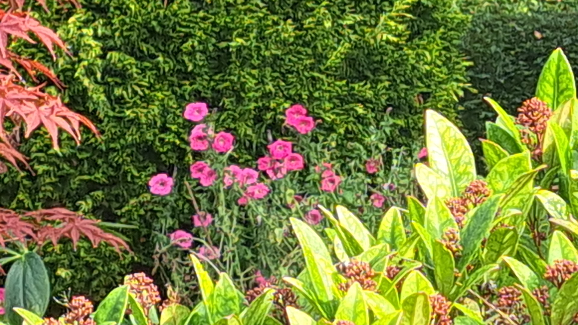 IMG_20251001_155735.jpg