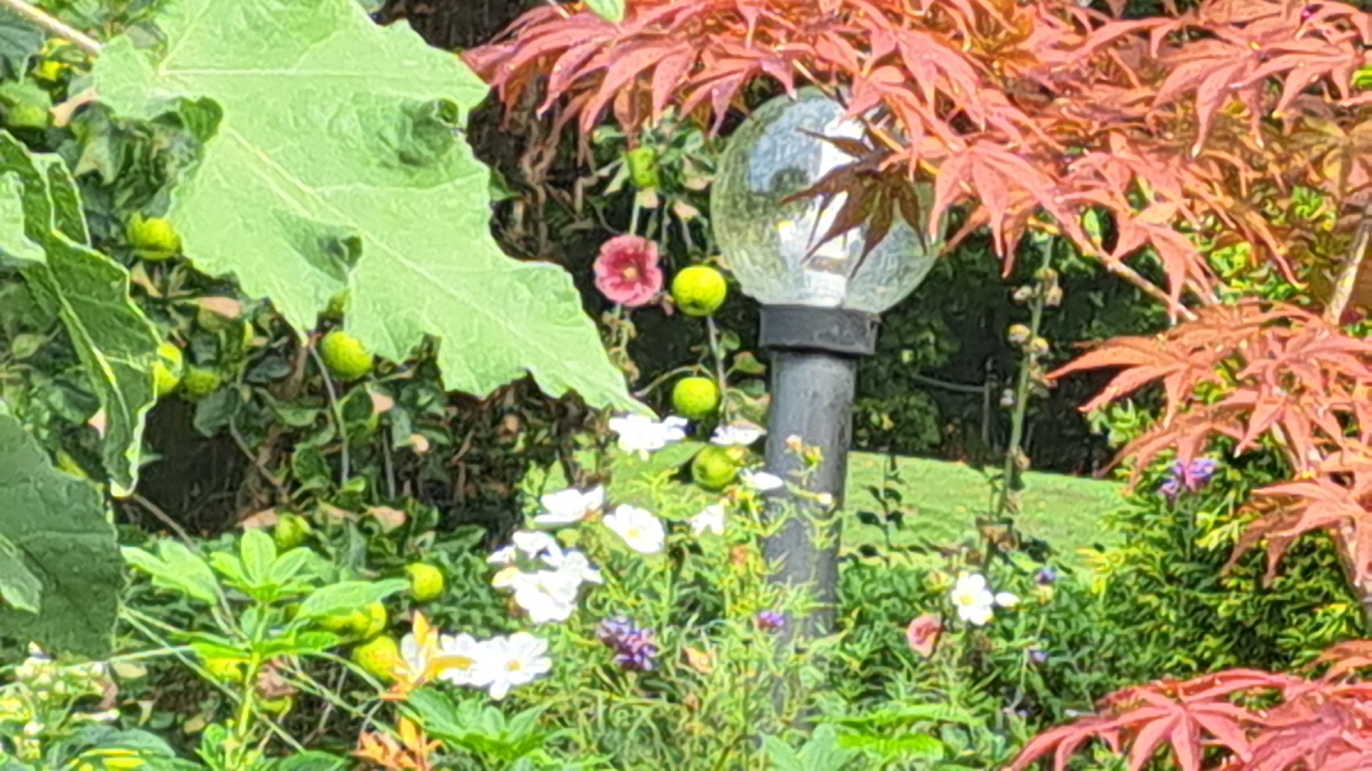 IMG_20251001_155831.jpg