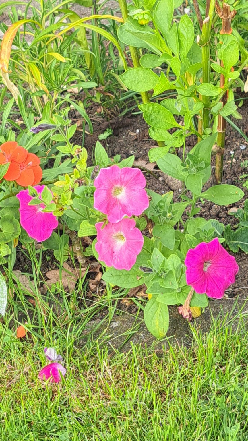 IMG_20251001_160920.jpg