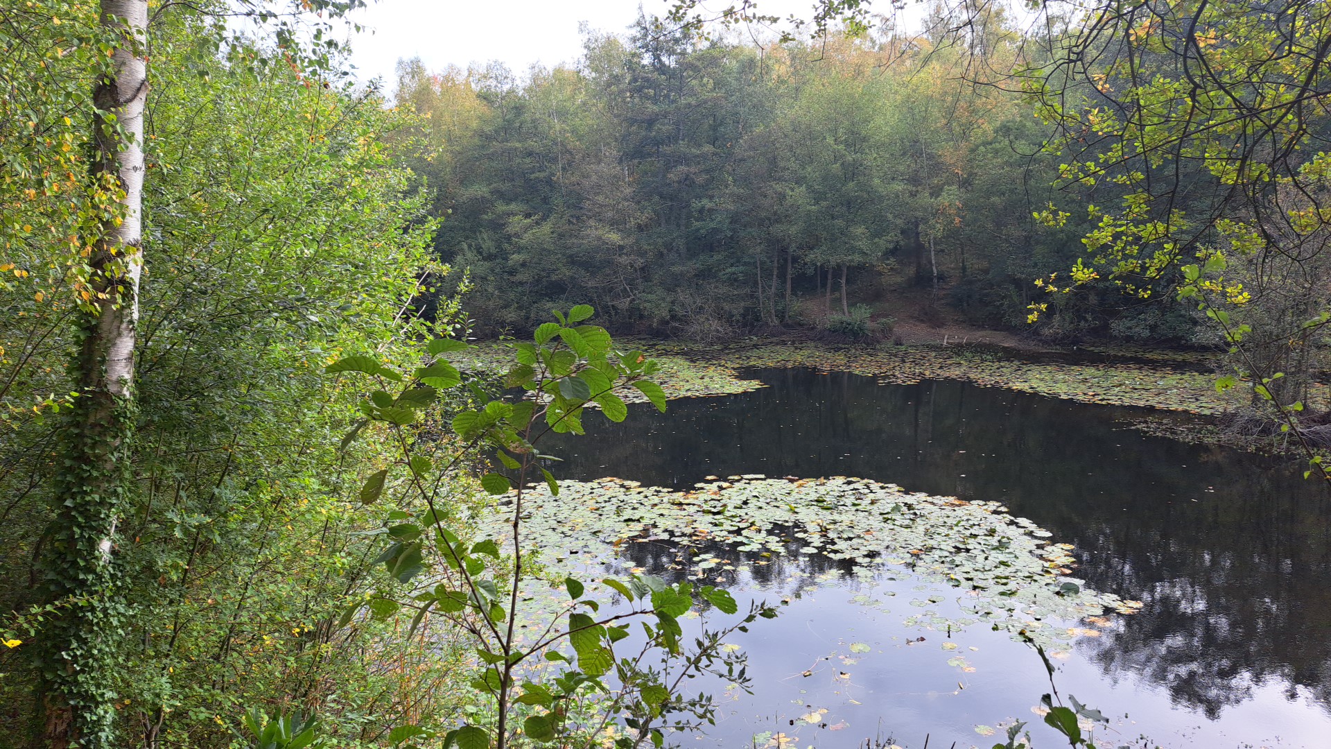 IMG_20251012_104507.jpg