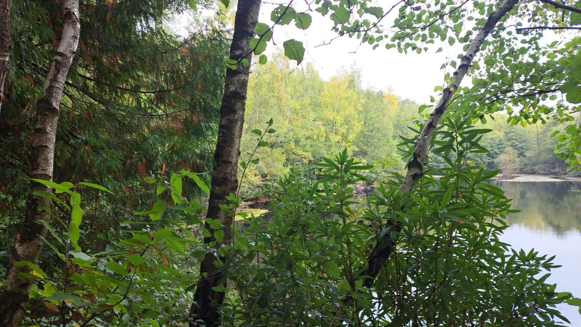 IMG_20251012_110621.jpg