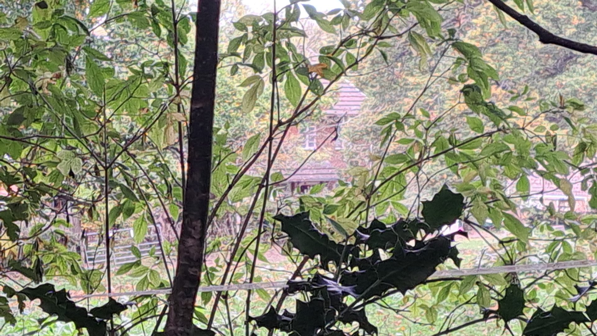 IMG_20251012_111206.jpg