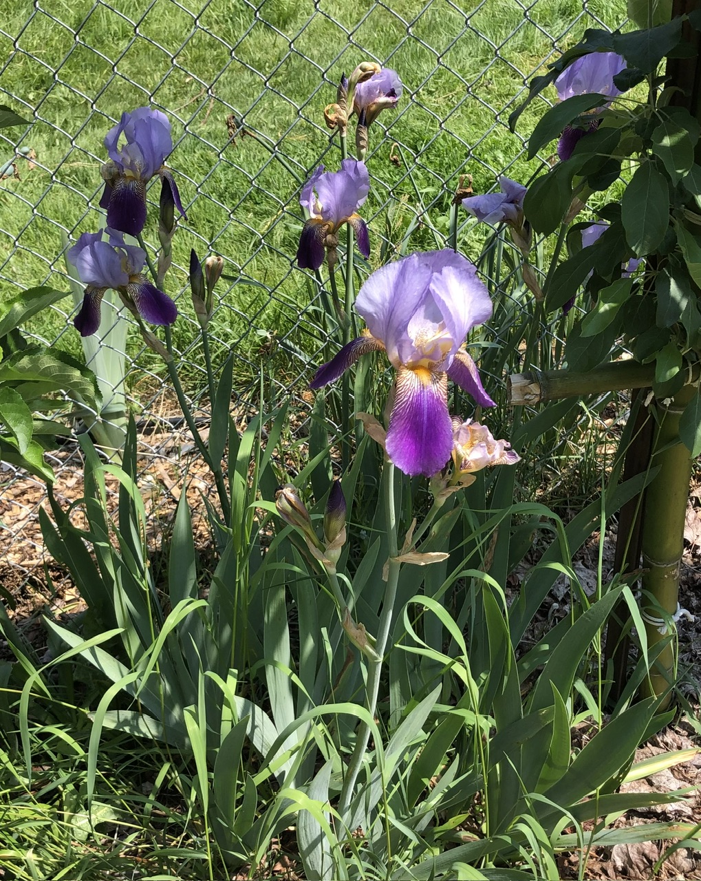 IMG_2364.jpeg