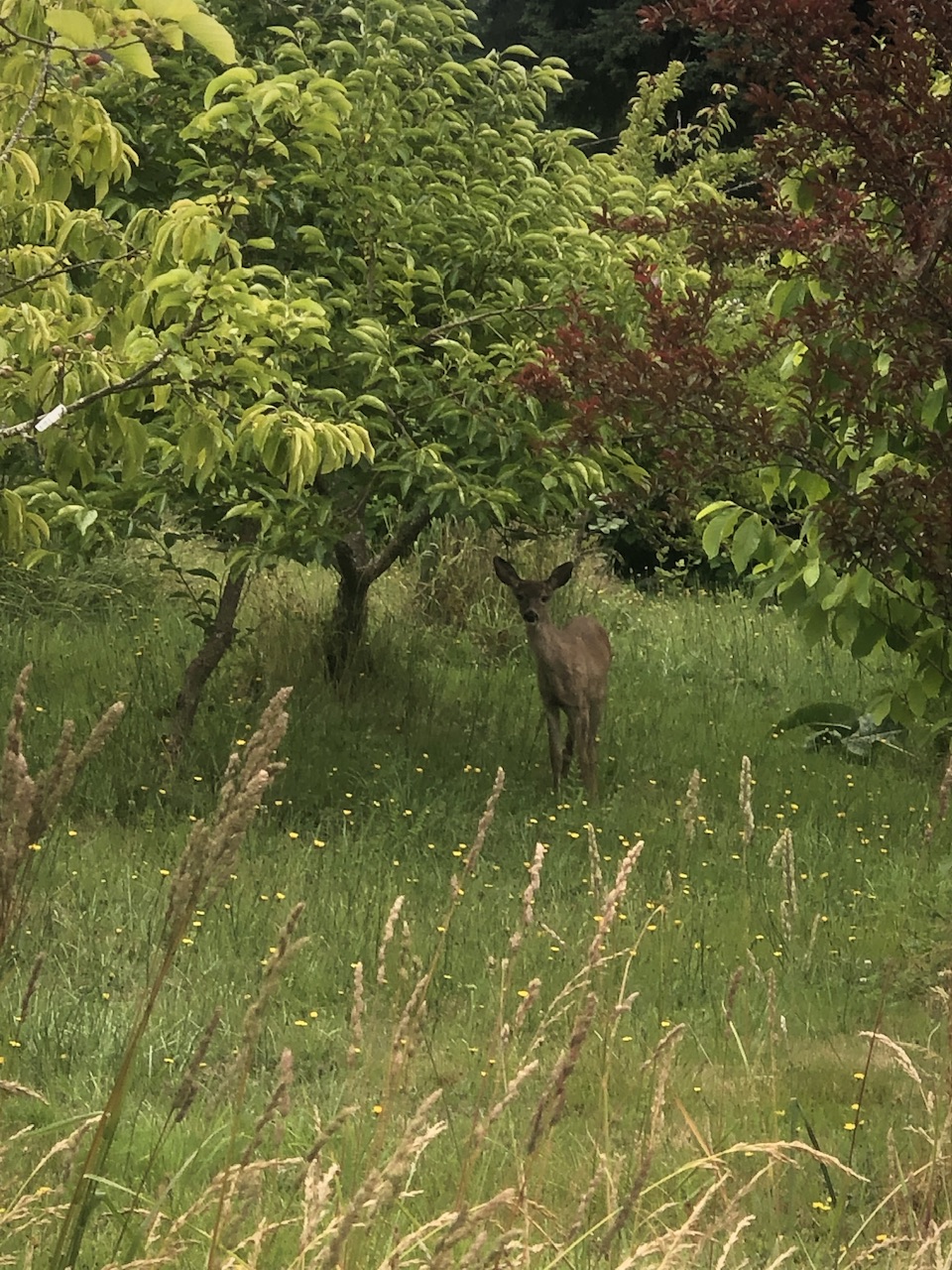 IMG_2873.jpeg