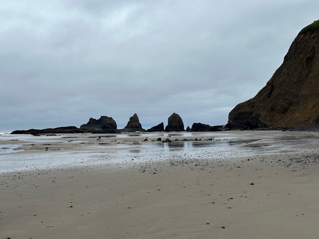 IMG_3011.jpeg
