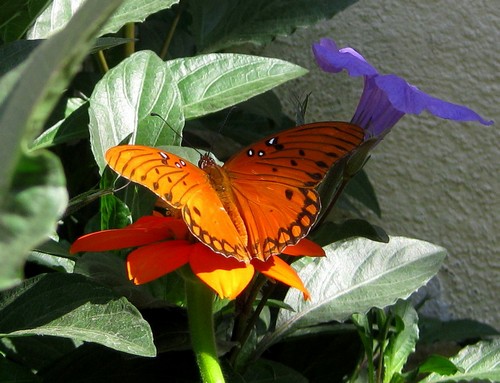 IMG_3041a.jpg