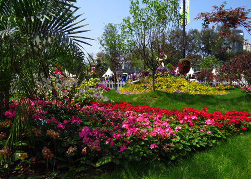 IMG_3491cr500x357px.jpg