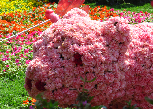 IMG_3518cr500x357px.jpg