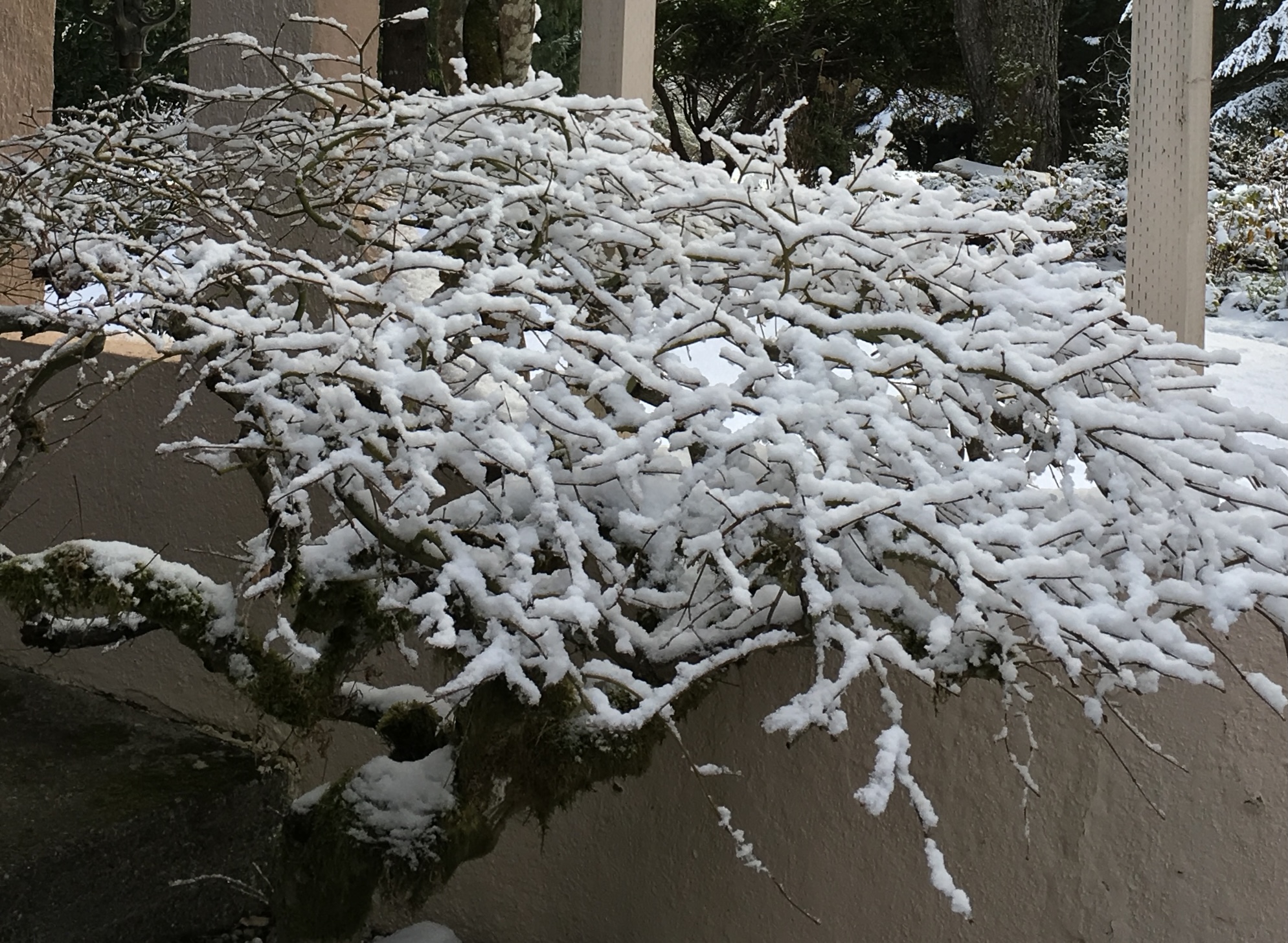 IMG_3613.jpeg