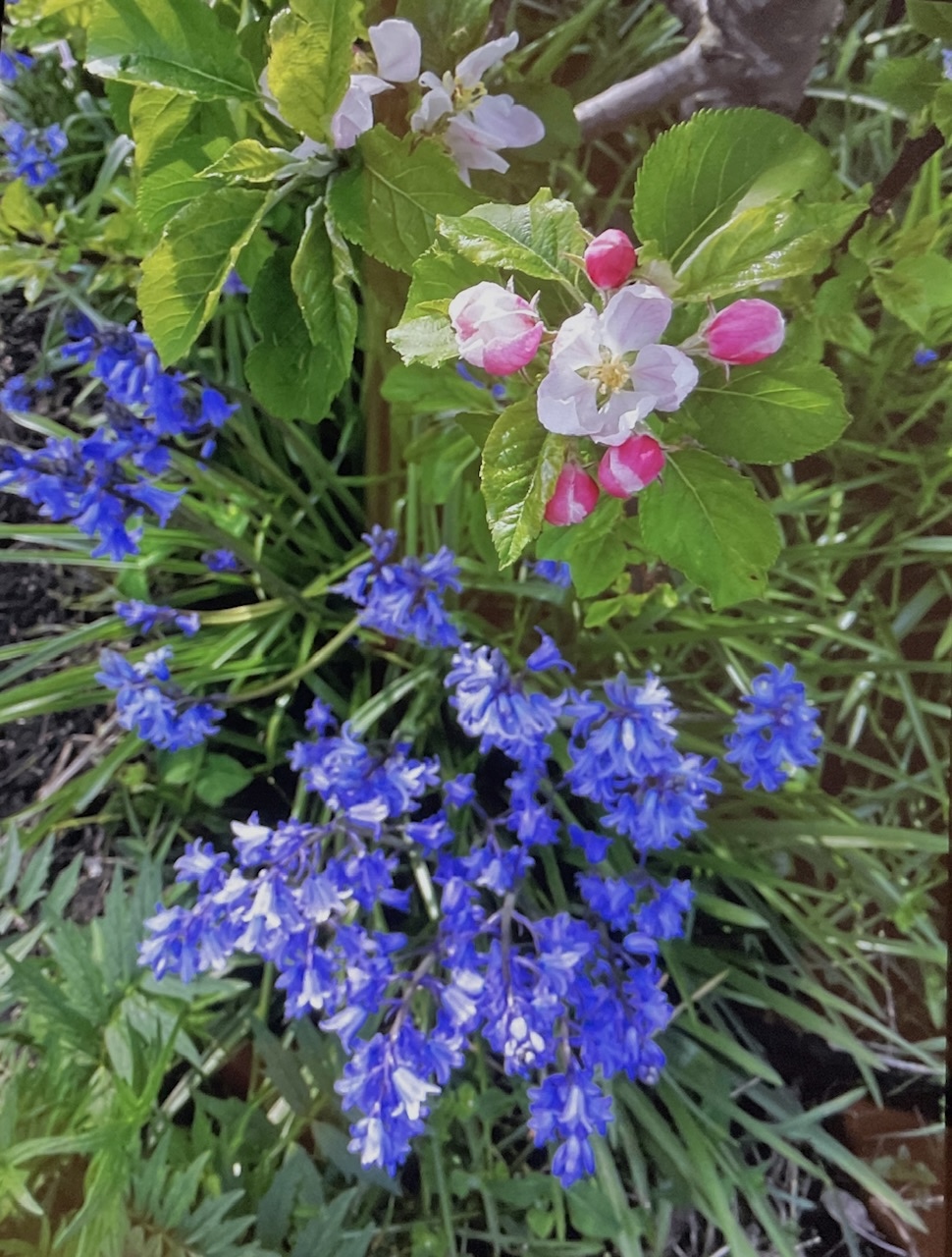 IMG_3633.jpeg