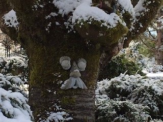 IMG_3634.jpeg